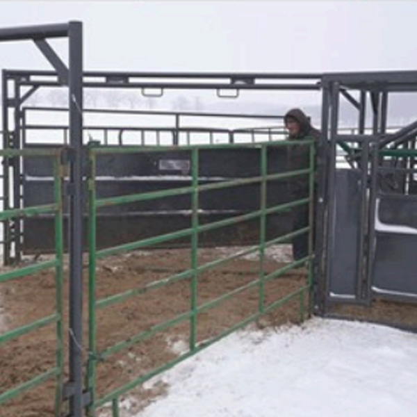 Madison Wisconsin Cattle Equipment Installation