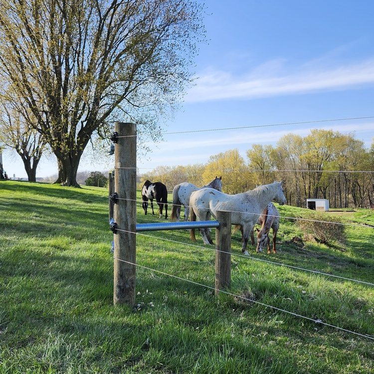 Farm and animal fencing in Baraboo, Wisconsin