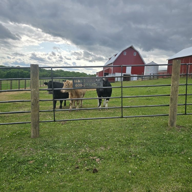 Animal fencing installed in Freeport, Illinois