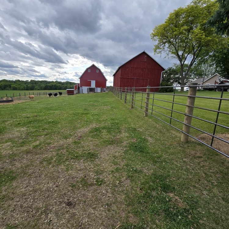 Animal fencing installed in Beloit, Wisconsin