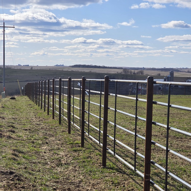 Animal fencing installed in Ridgeway, Wisconsin
