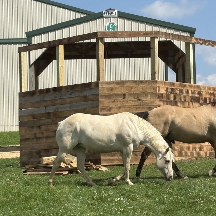 Animal fencing installed in Richland Center, Wisconsin