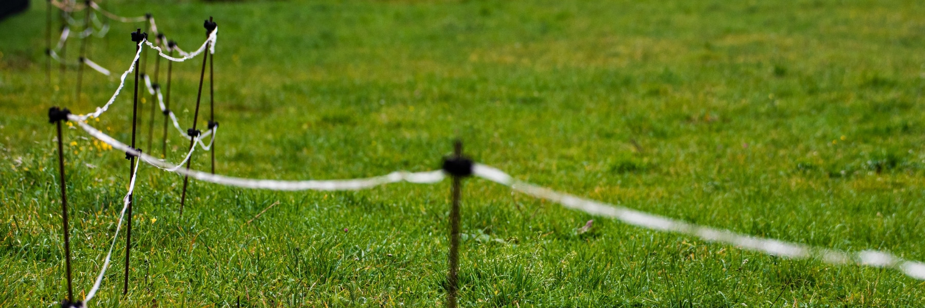 Fence line near Oshkosh, Wisconsin
